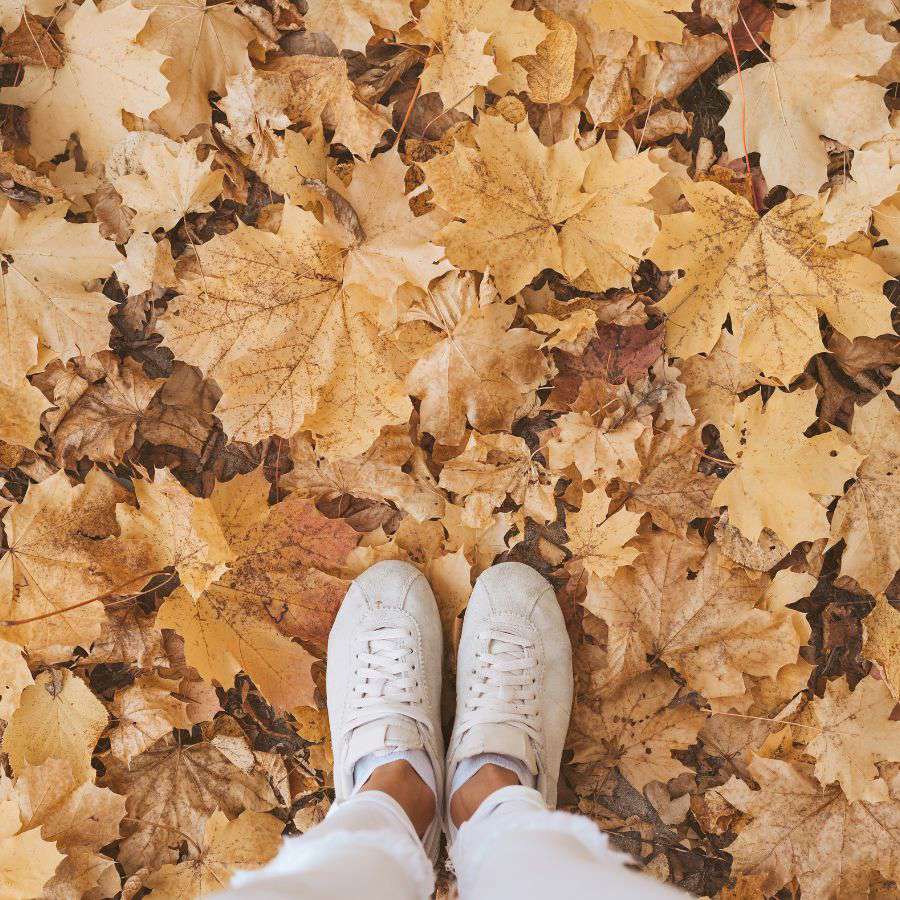 frases motivadoras otoño