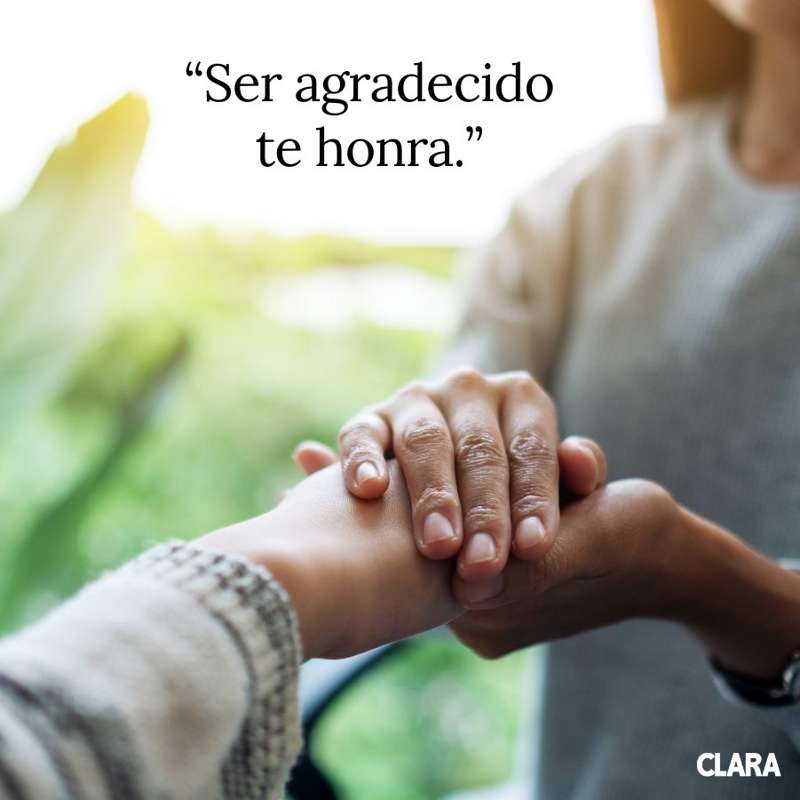 50 frases de agradecimiento. para dar las gracias a la vida