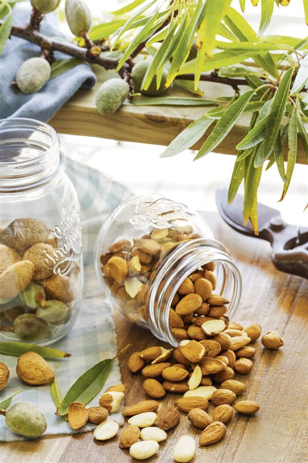 Almendras