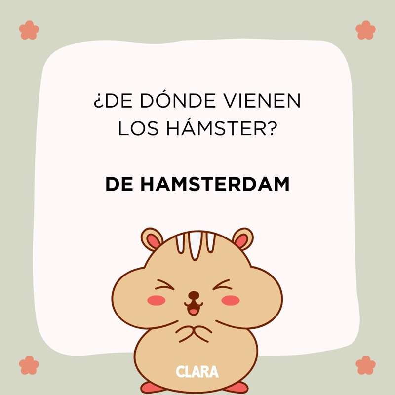 chistes malos y cortos