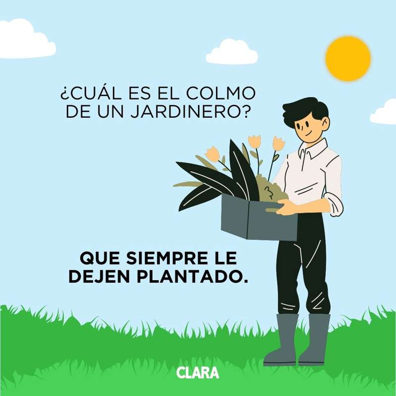 chistes malos y cortos