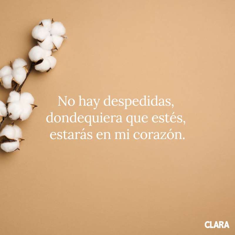 Frases todos los santos