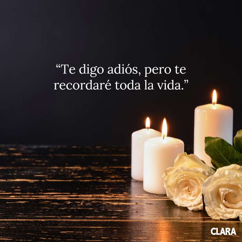 Frases todos los santos