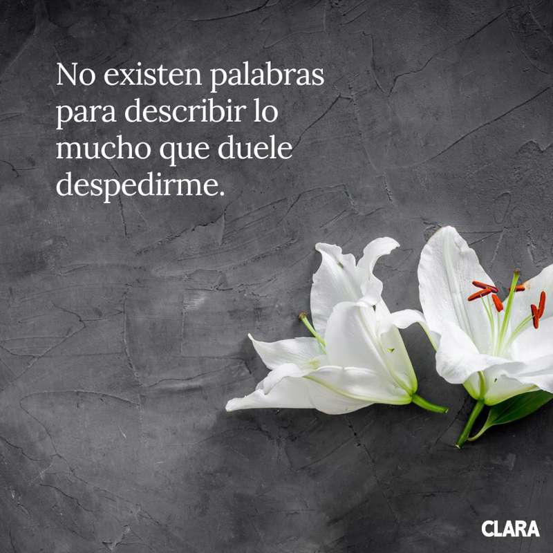 Frases todos los santos