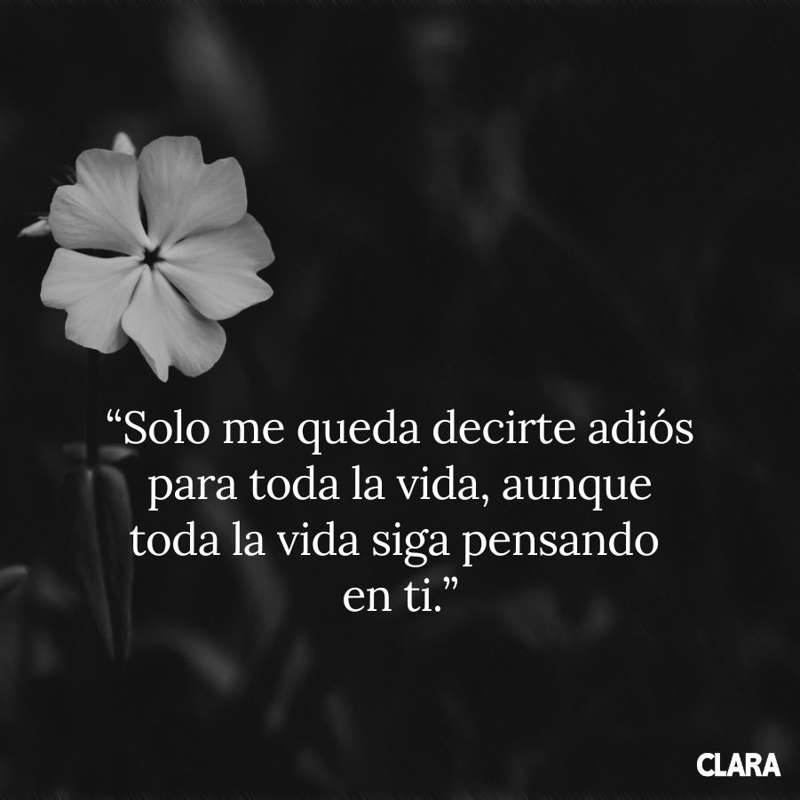 Frases todos los santos