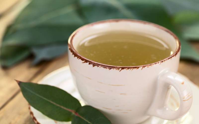 infusion adelgazar nutricionista antiinflamatoria