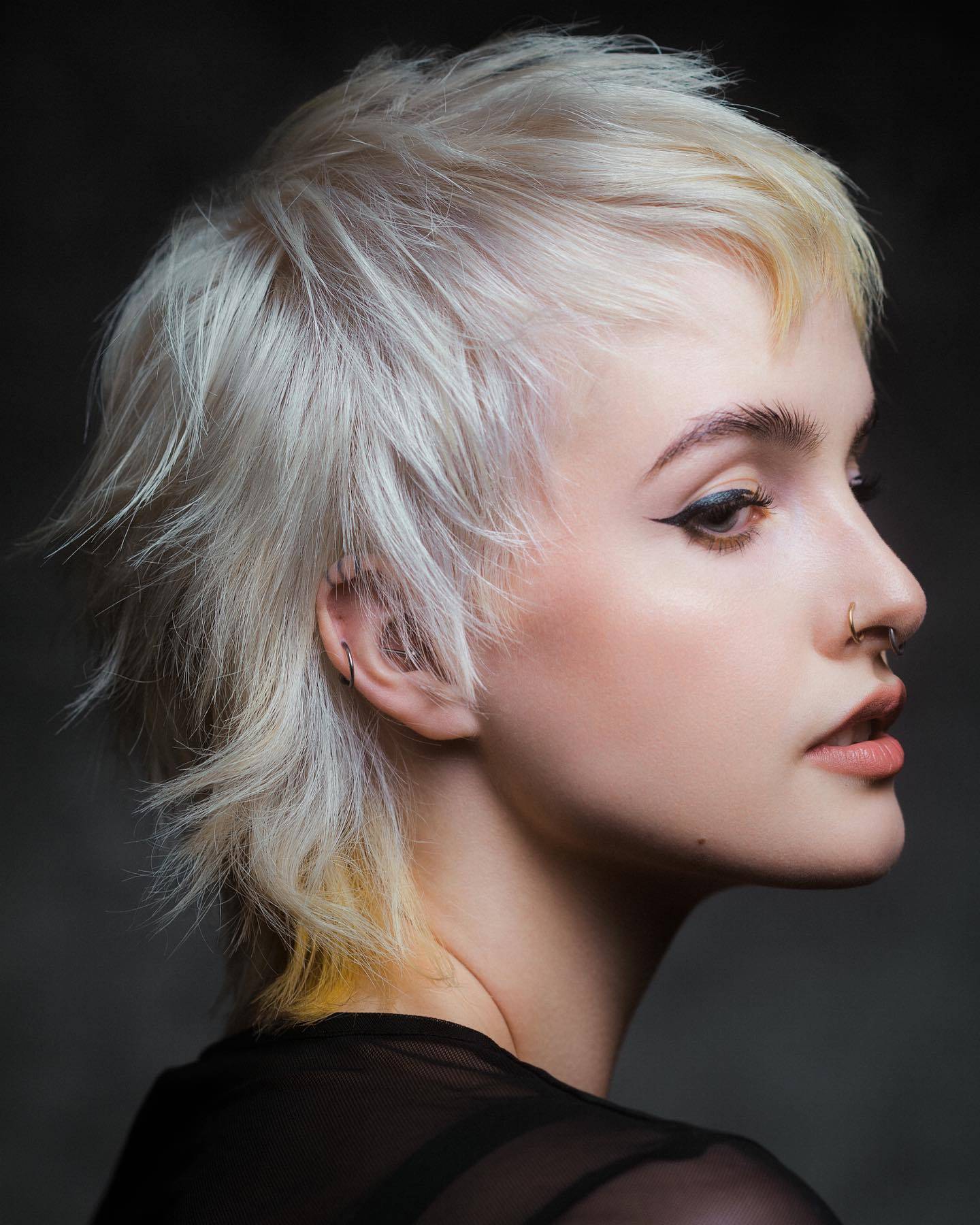 mixet mullet