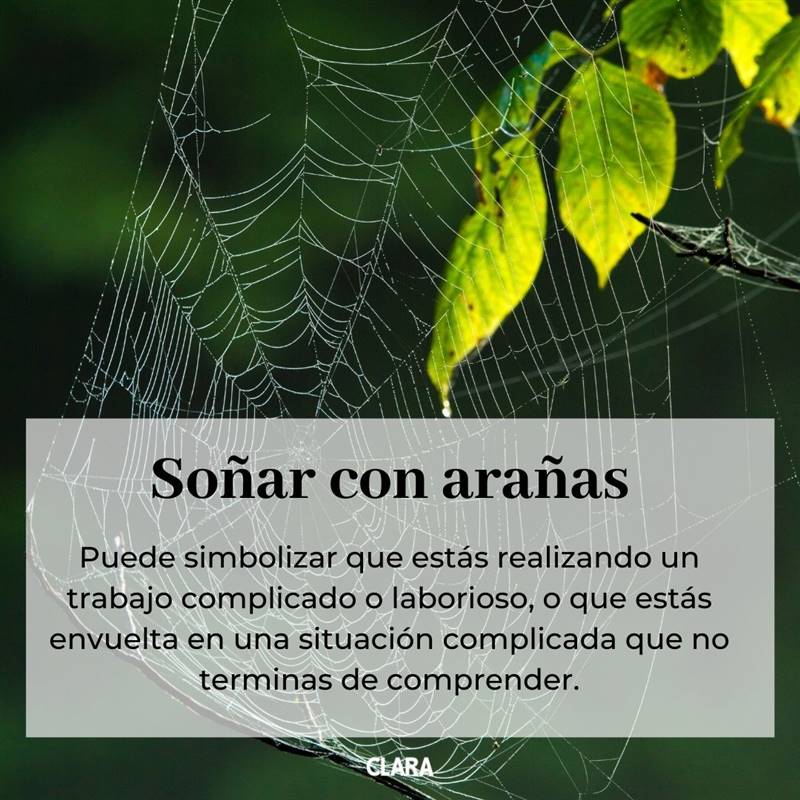 soñar con arañas
