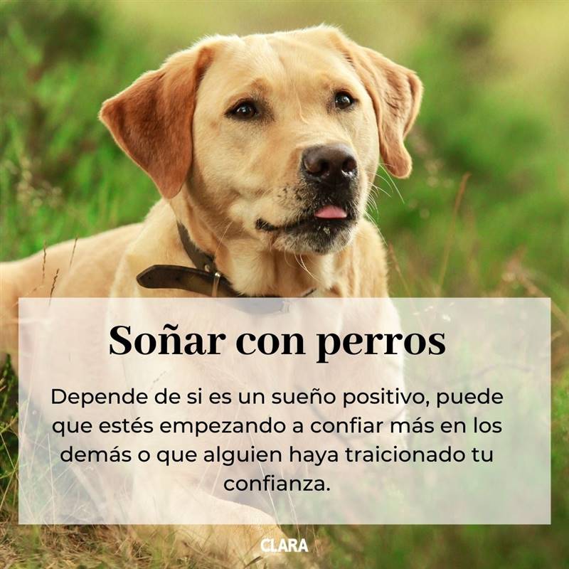 soñar con perros